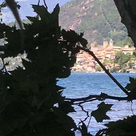Comolakehome A Due Passi Dal Lago Dervio Exteriér fotografie